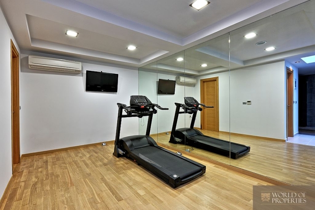 web_29.gym.jpg