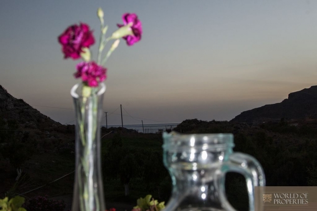 web_img_2641.jpg