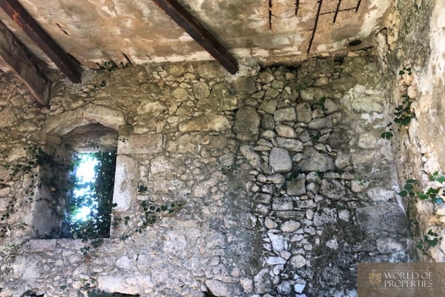 web_img_9277.jpg